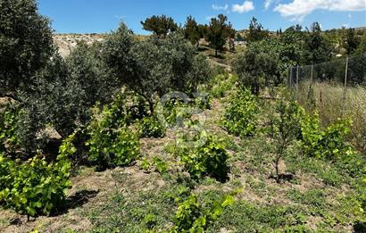 ÇANAKKALE KAYADERE KÖYÜ 1.135M² SATILIK ARAZİ