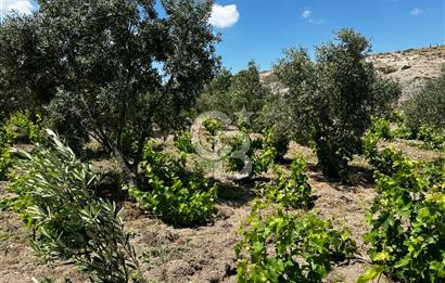 ÇANAKKALE KAYADERE KÖYÜ 1.135M² SATILIK ARAZİ