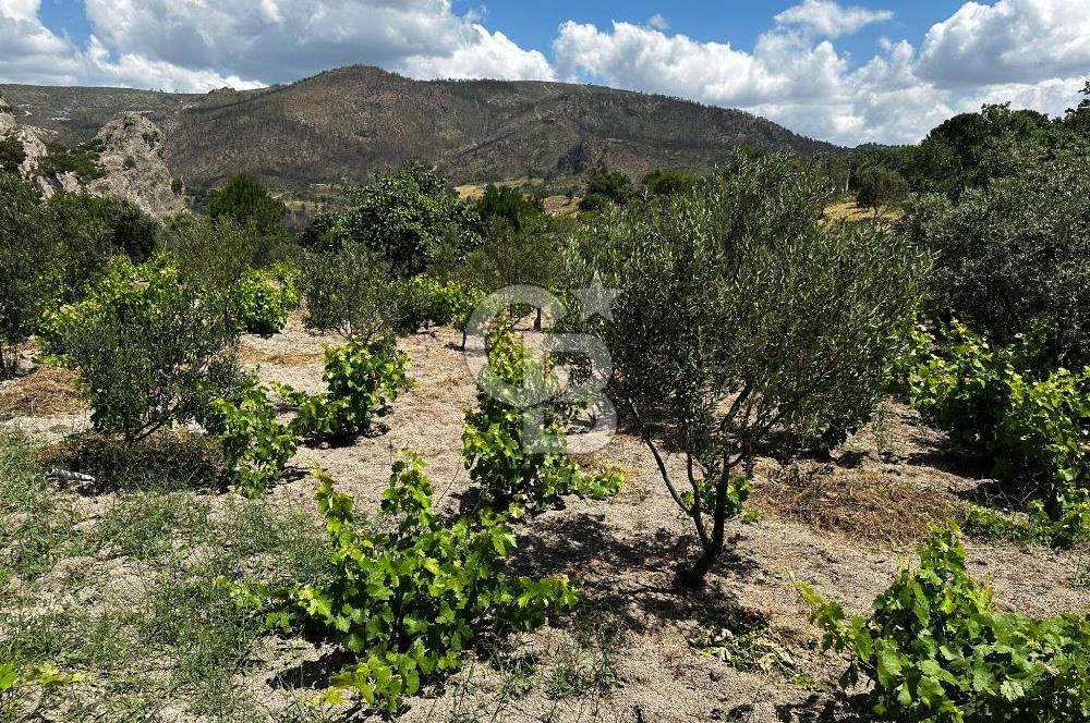 ÇANAKKALE KAYADERE KÖYÜ 1.135M² SATILIK ARAZİ