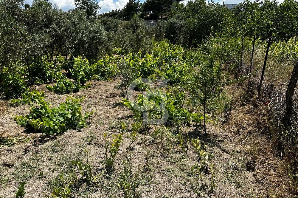 ÇANAKKALE KAYADERE KÖYÜ 1.135M² SATILIK ARAZİ