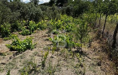 ÇANAKKALE KAYADERE KÖYÜ 1.135M² SATILIK ARAZİ