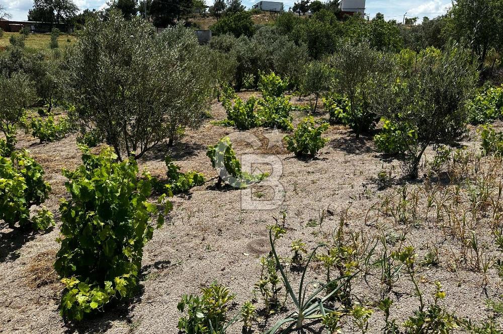 ÇANAKKALE KAYADERE KÖYÜ 1.135M² SATILIK ARAZİ