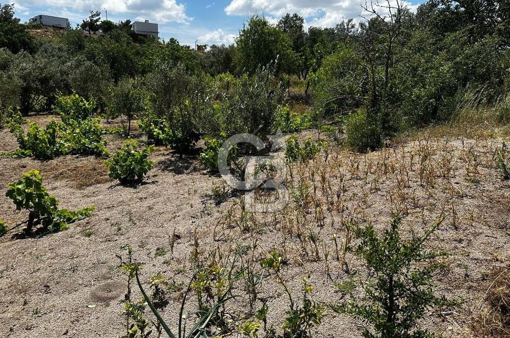 ÇANAKKALE KAYADERE KÖYÜ 1.135M² SATILIK ARAZİ
