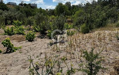ÇANAKKALE KAYADERE KÖYÜ 1.135M² SATILIK ARAZİ