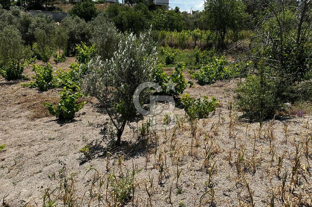 ÇANAKKALE KAYADERE KÖYÜ 1.135M² SATILIK ARAZİ