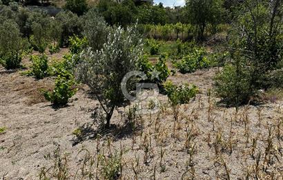 ÇANAKKALE KAYADERE KÖYÜ 1.135M² SATILIK ARAZİ