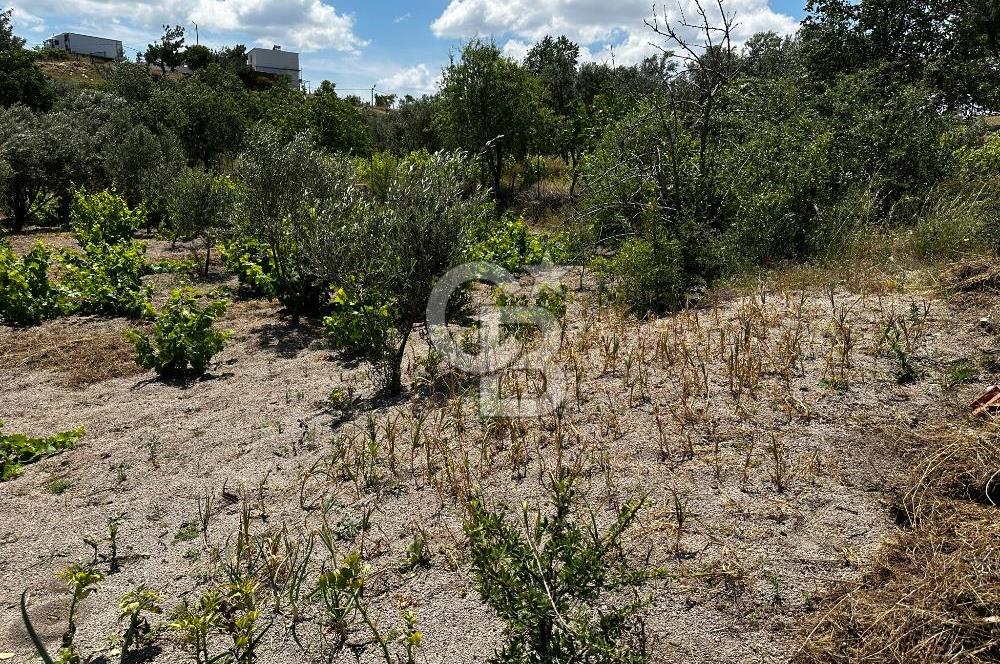 ÇANAKKALE KAYADERE KÖYÜ 1.135M² SATILIK ARAZİ