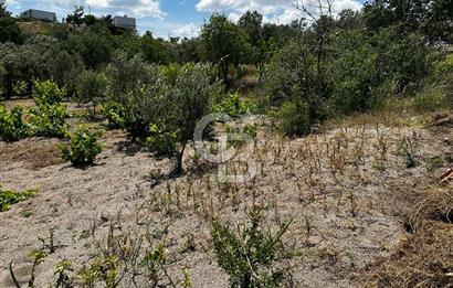ÇANAKKALE KAYADERE KÖYÜ 1.135M² SATILIK ARAZİ