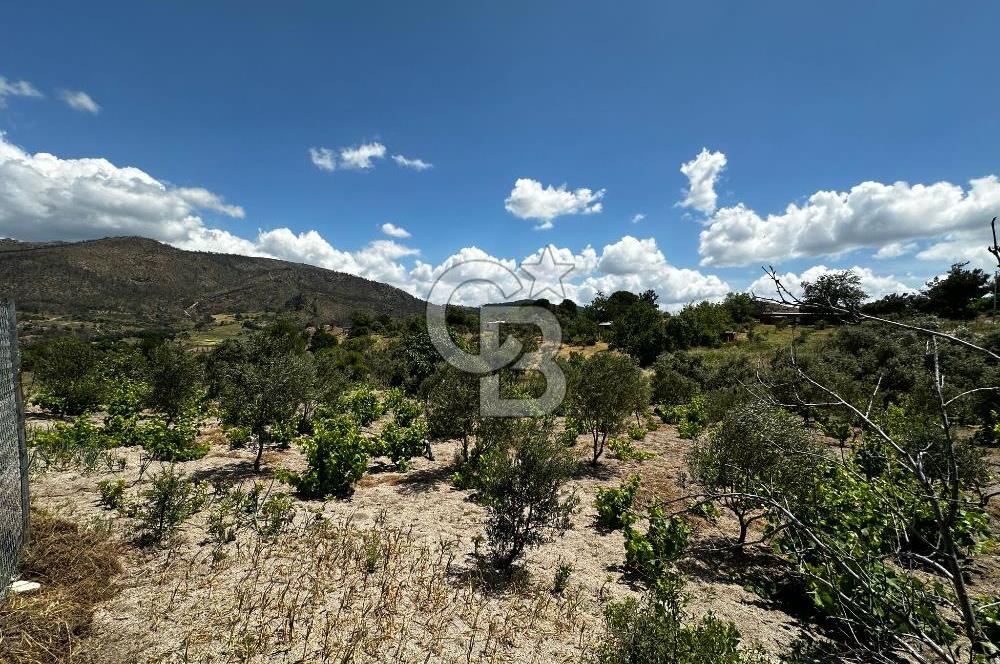 ÇANAKKALE KAYADERE KÖYÜ 1.135M² SATILIK ARAZİ