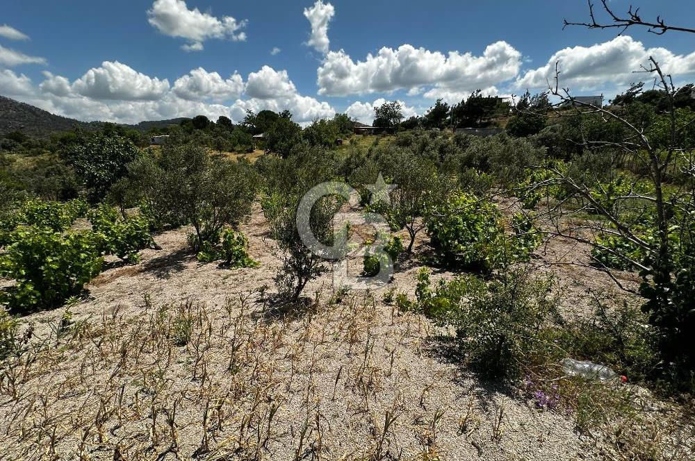 ÇANAKKALE KAYADERE KÖYÜ 1.135M² SATILIK ARAZİ
