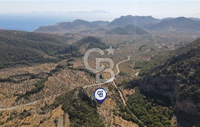 Datça  Sındı'da 4 dönüm Yatırımlık Tarla