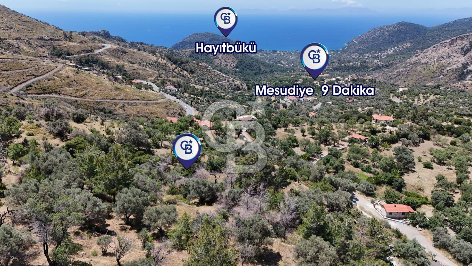 DATÇA MESUDİYE DENİZ MANZARALI TARLA