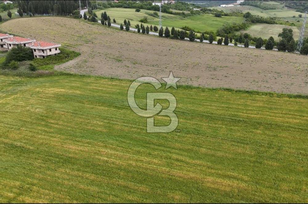 YALOVA ÇİFTLİKKÖYDE KUPON ARSA