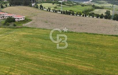 YALOVA ÇİFTLİKKÖYDE KUPON ARSA