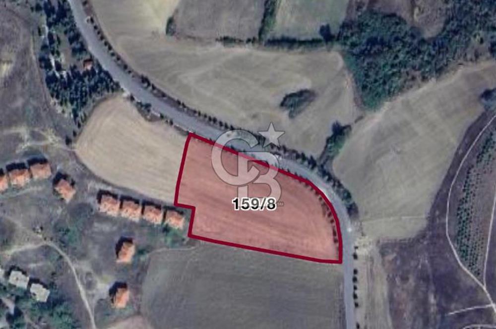 YALOVA ÇİFTLİKKÖYDE KUPON ARSA