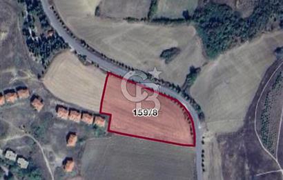 YALOVA ÇİFTLİKKÖYDE KUPON ARSA