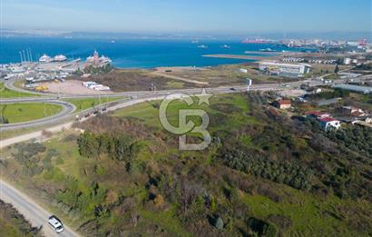 Yalova Çiftlikköy Denizçalıda Satılık Sanayi Ticari İmarlı Arsa!