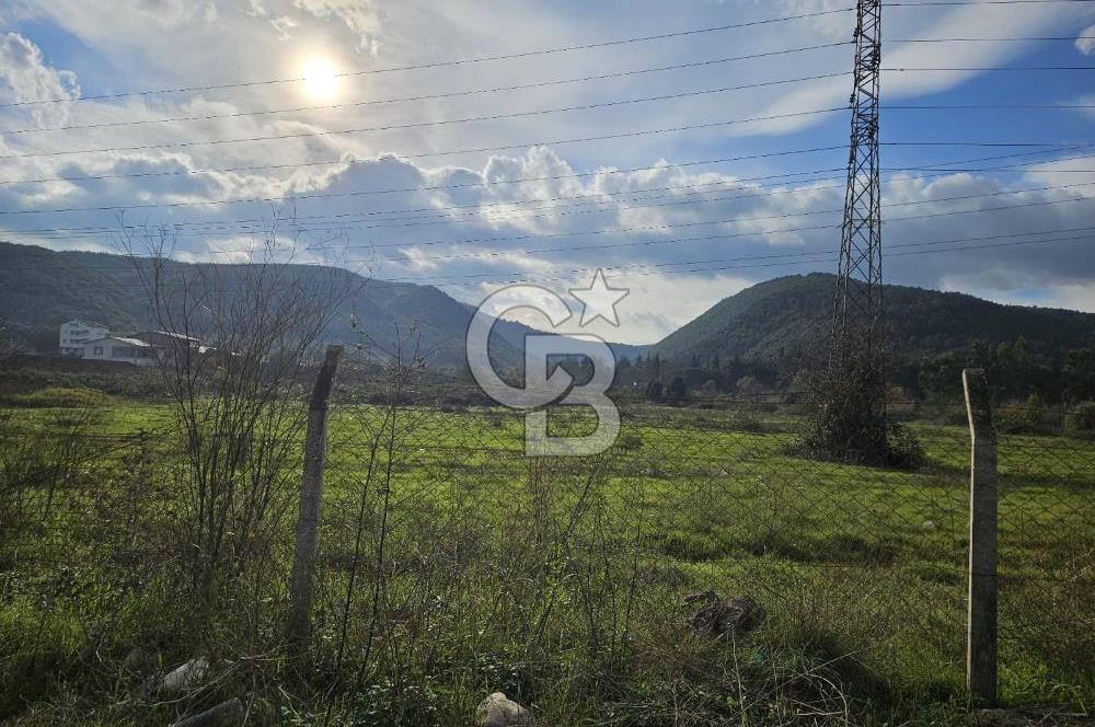 Yalova Çiftlikköy Denizçalıda Satılık Sanayi Ticari İmarlı Arsa!