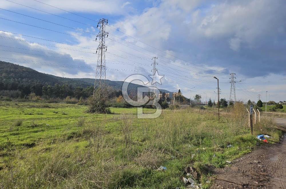 Yalova Çiftlikköy Denizçalıda Satılık Sanayi Ticari İmarlı Arsa!