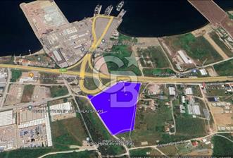 Yalova Çiftlikköy Denizçalıda Satılık Sanayi Ticari İmarlı Arsa! - 1 - 211517