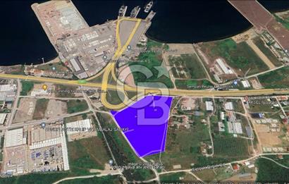 Yalova Çiftlikköy Denizçalıda Satılık Sanayi Ticari İmarlı Arsa!