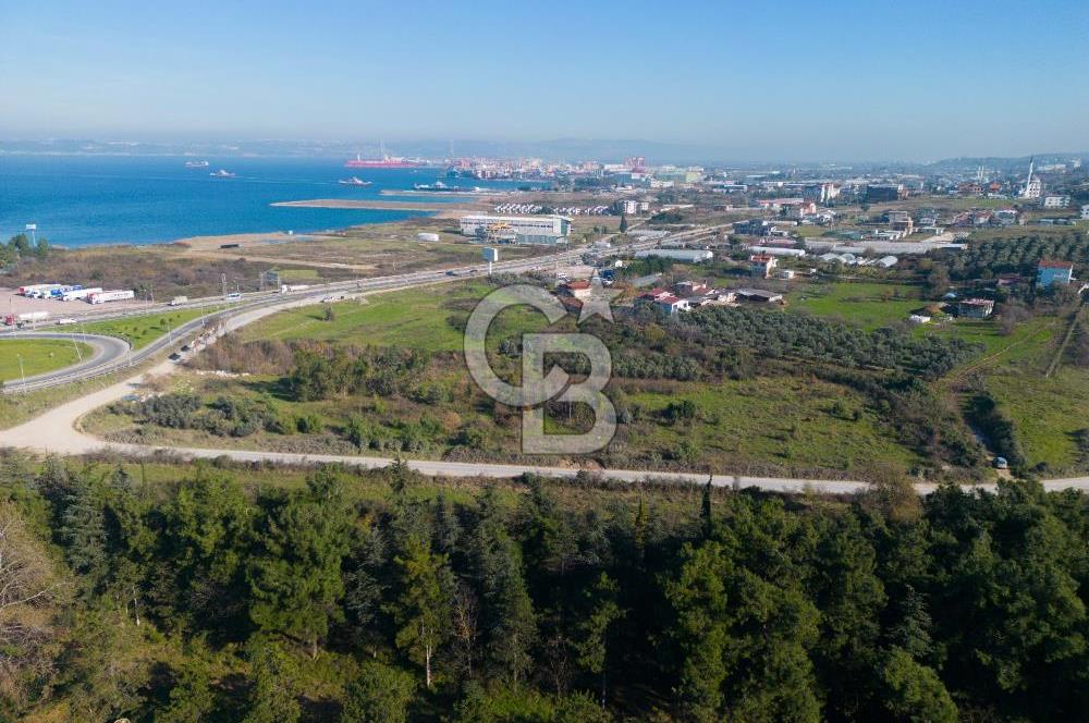 Yalova Çiftlikköy Denizçalıda Satılık Sanayi Ticari İmarlı Arsa!