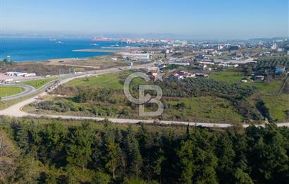Yalova Çiftlikköy Denizçalıda Satılık Sanayi Ticari İmarlı Arsa!