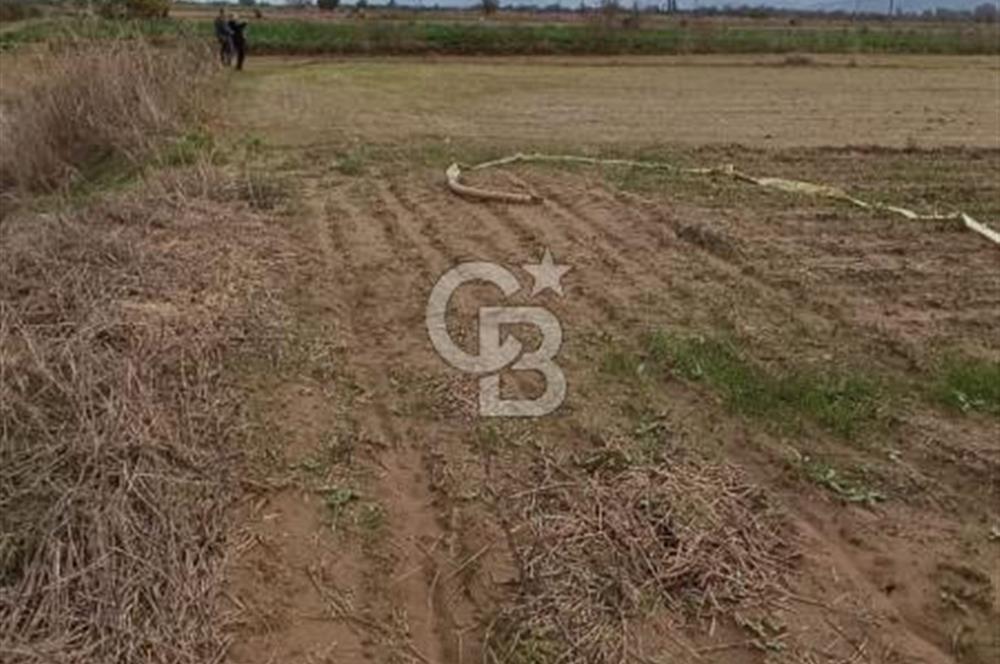 İZMİR TİRE SATILIK 4.198M2 TARLA