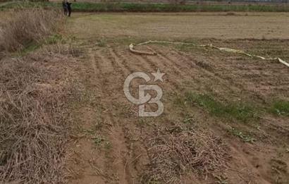 İZMİR TİRE SATILIK 4.198M2 TARLA