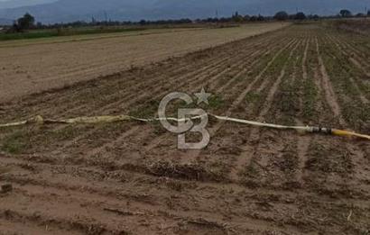 İZMİR TİRE SATILIK 4.198M2 TARLA