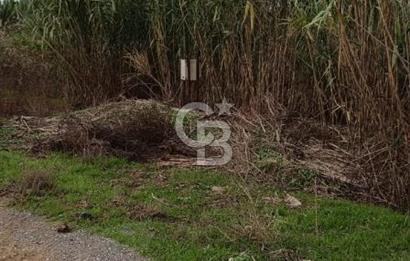 İZMİR TİRE SATILIK 4.198M2 TARLA
