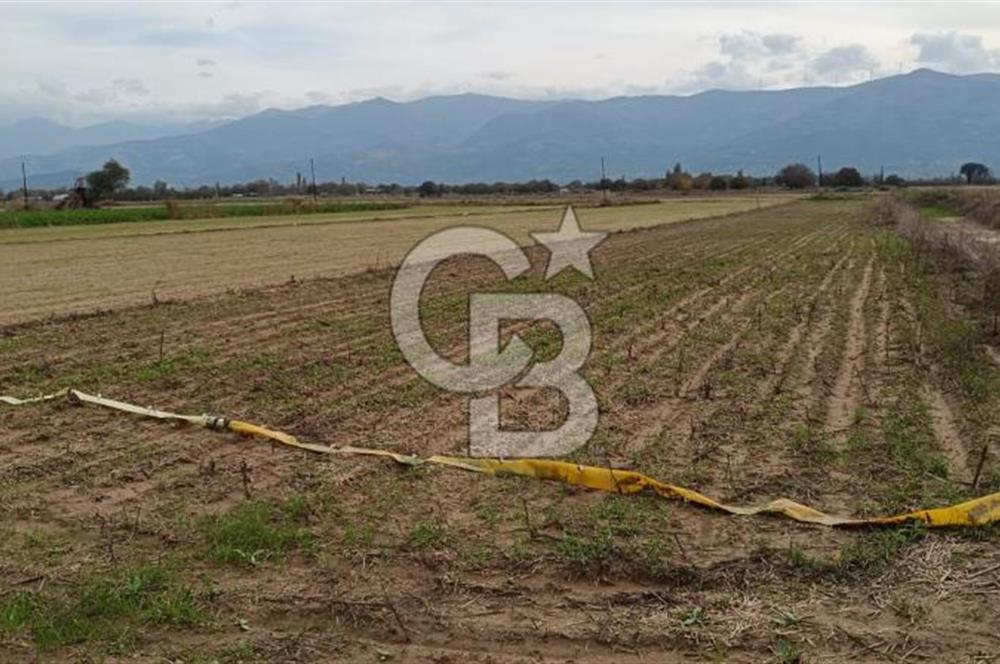 İZMİR TİRE SATILIK 4.198M2 TARLA