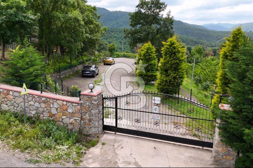  Yalova Merkez Kurtköy’de Hayalinizdeki 14504 m2 Arazi Satılık!
