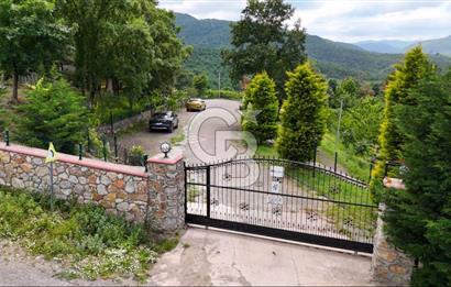  Yalova Merkez Kurtköy’de Hayalinizdeki 14504 m2 Arazi Satılık!