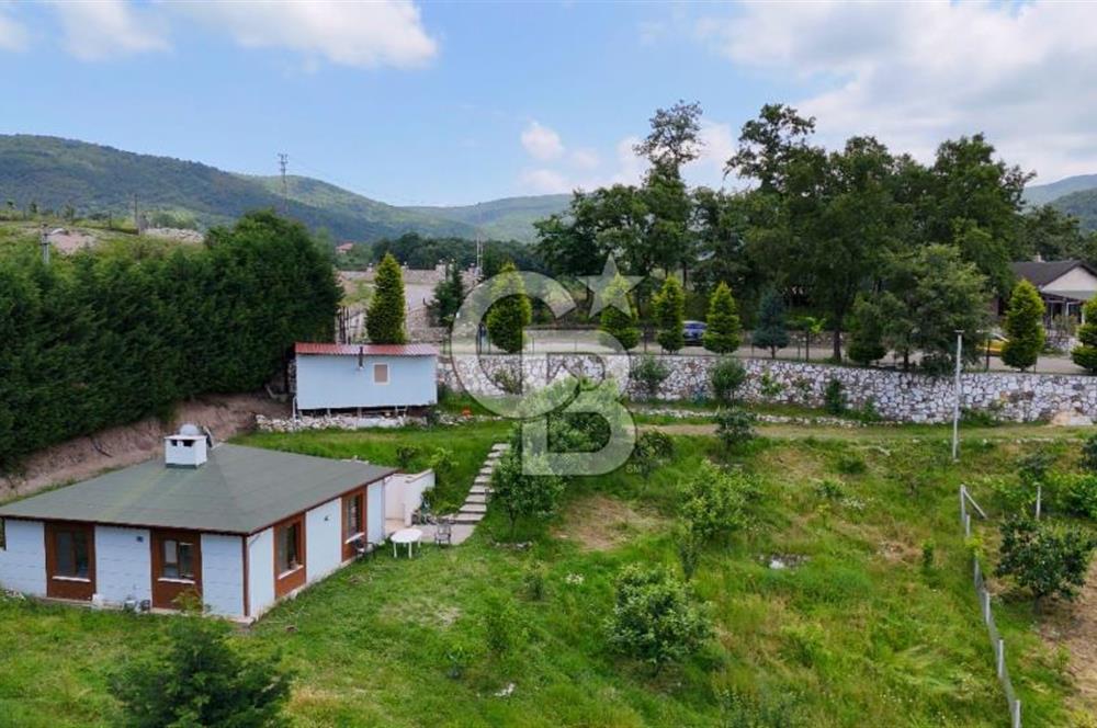  Yalova Merkez Kurtköy’de Hayalinizdeki 14504 m2 Arazi Satılık!