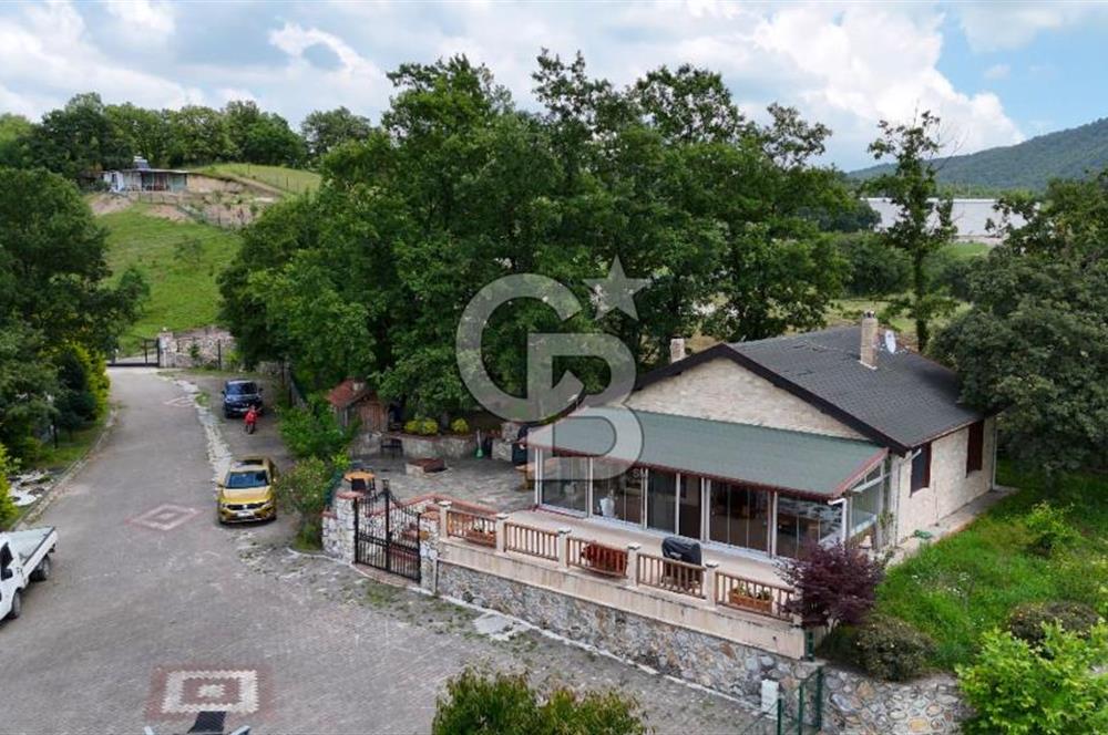  Yalova Merkez Kurtköy’de Hayalinizdeki 14504 m2 Arazi Satılık!