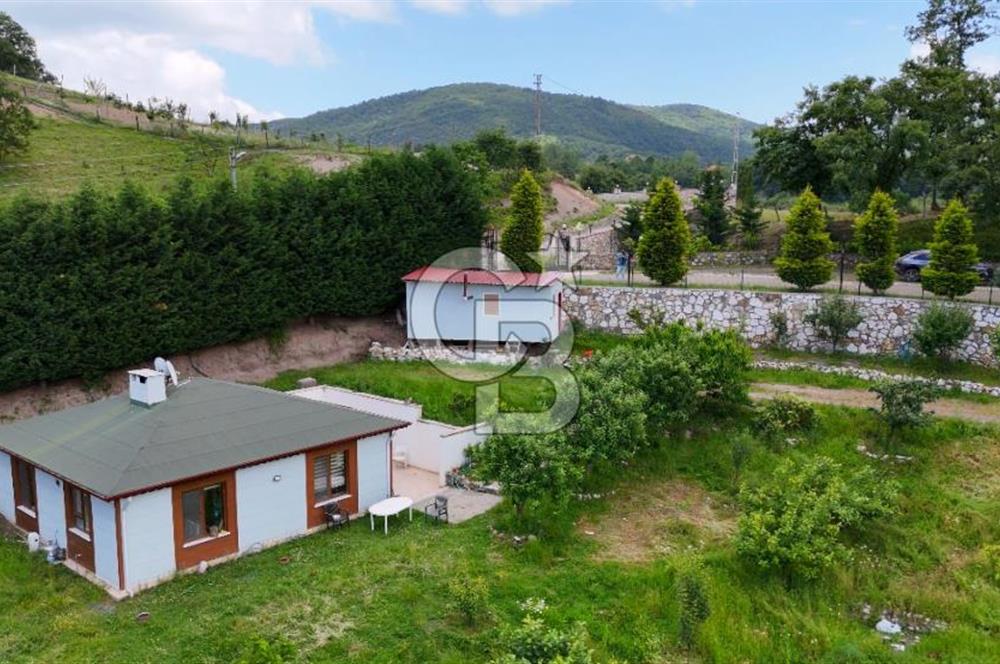  Yalova Merkez Kurtköy’de Hayalinizdeki 14504 m2 Arazi Satılık!