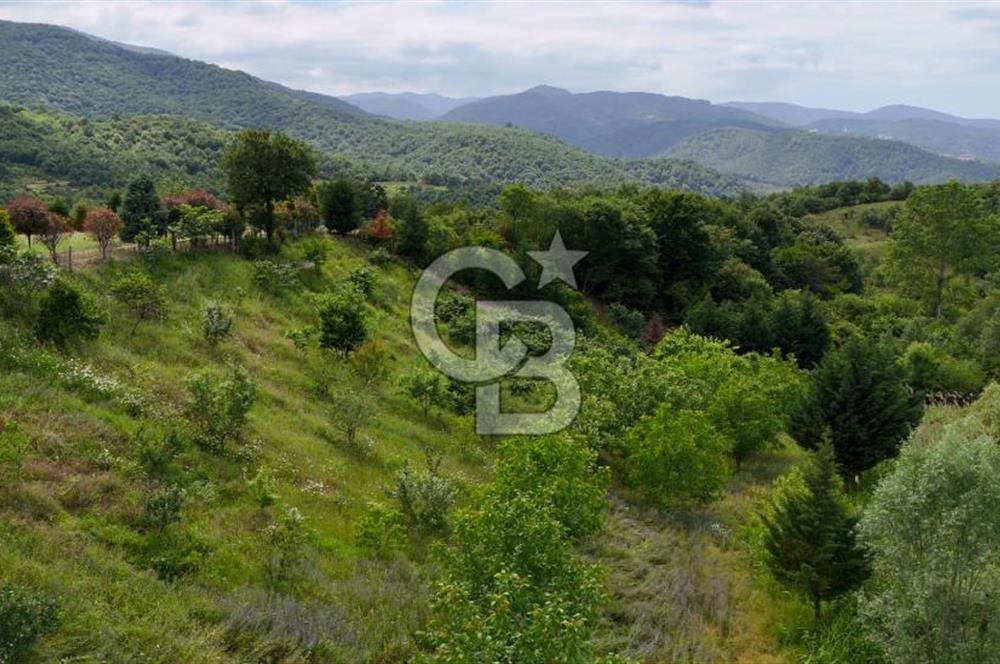  Yalova Merkez Kurtköy’de Hayalinizdeki 14504 m2 Arazi Satılık!