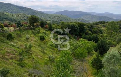  Yalova Merkez Kurtköy’de Hayalinizdeki 14504 m2 Arazi Satılık!