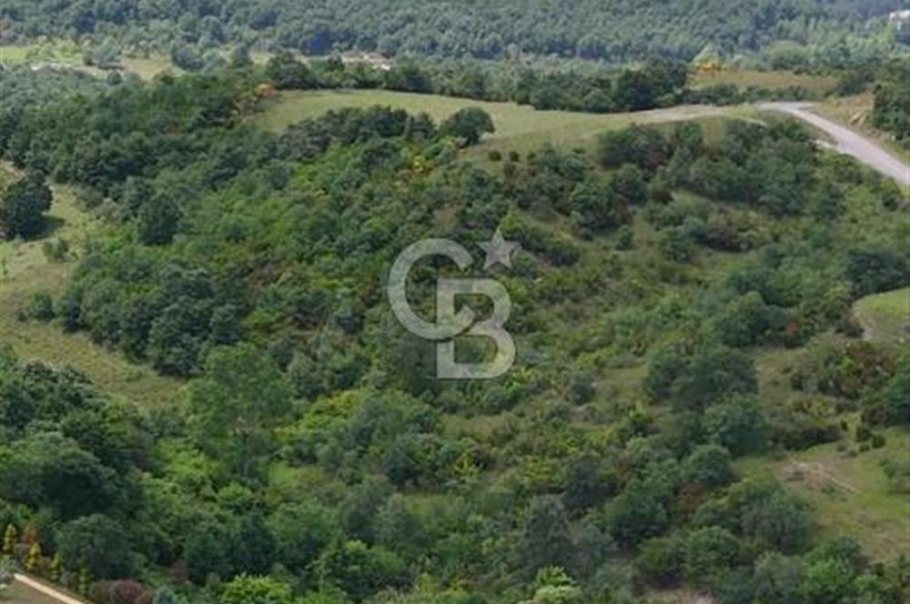  Yalova Merkez Kurtköy’de Hayalinizdeki 14504 m2 Arazi Satılık!