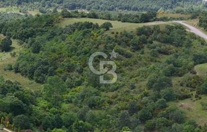  Yalova Merkez Kurtköy’de Hayalinizdeki 14504 m2 Arazi Satılık!