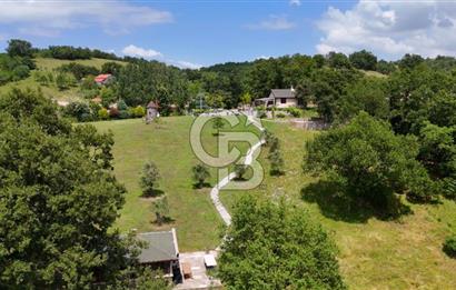 Yalova Merkez Kurtköy’de Hayalinizdeki 14504 m2 Arazi Satılık!