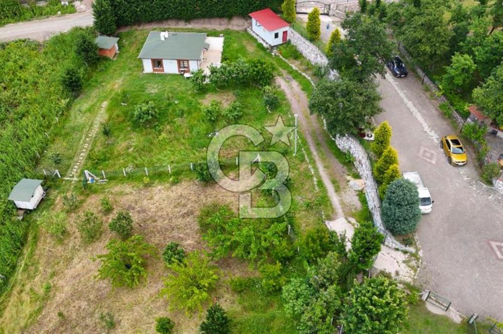  Yalova Merkez Kurtköy’de Hayalinizdeki 14504 m2 Arazi Satılık!