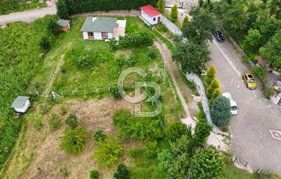  Yalova Merkez Kurtköy’de Hayalinizdeki 14504 m2 Arazi Satılık!