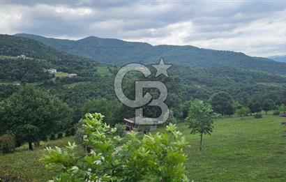  Yalova Merkez Kurtköy’de Hayalinizdeki 14504 m2 Arazi Satılık!