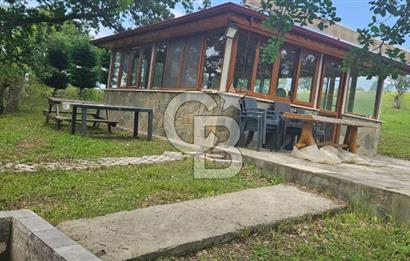  Yalova Merkez Kurtköy’de Hayalinizdeki 14504 m2 Arazi Satılık!