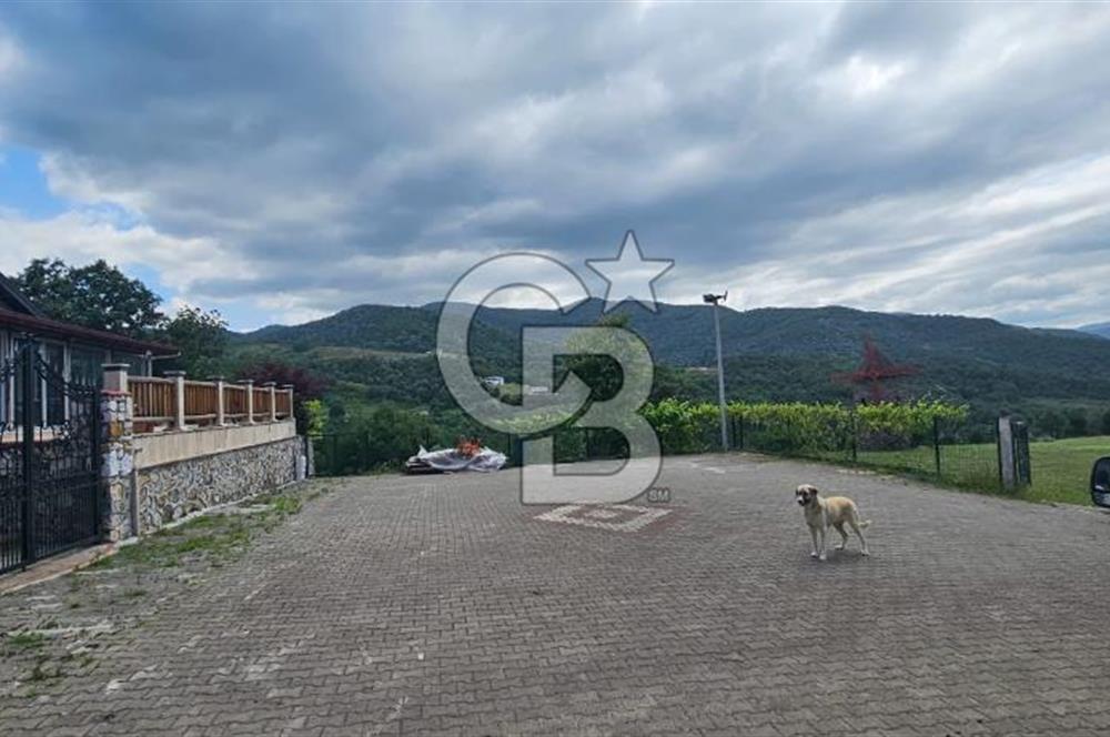  Yalova Merkez Kurtköy’de Hayalinizdeki 14504 m2 Arazi Satılık!