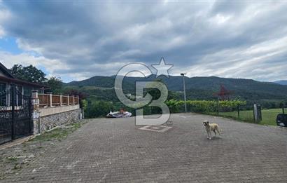 Yalova Merkez Kurtköy’de Hayalinizdeki 14504 m2 Arazi Satılık!