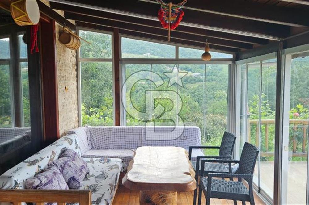  Yalova Merkez Kurtköy’de Hayalinizdeki 14504 m2 Arazi Satılık!