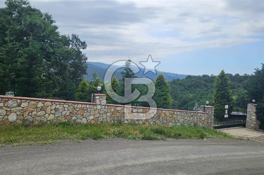  Yalova Merkez Kurtköy’de Hayalinizdeki 14504 m2 Arazi Satılık!